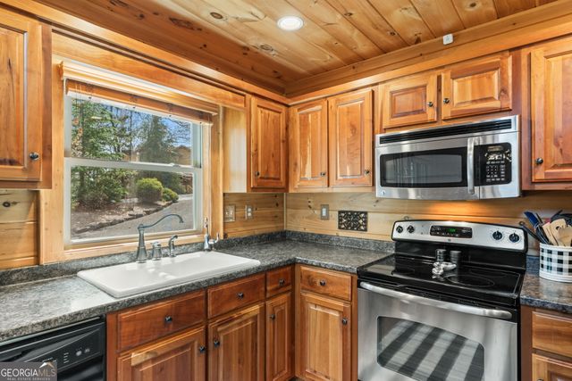 283 Black Gum Lane, Blue Ridge, GA 30513