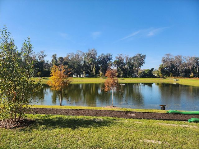 1670 GREAT OSPREY WAY, New Smyrna Beach, FL 32168