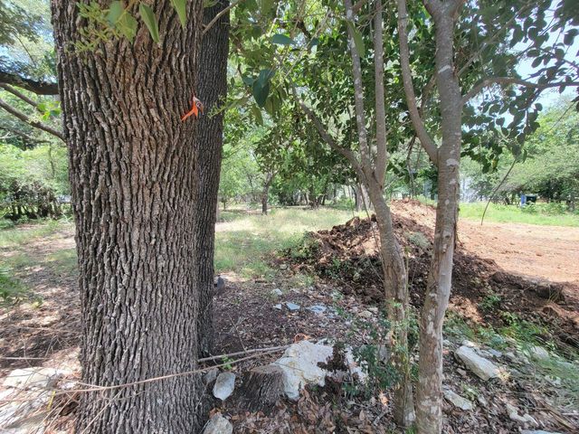 813 Wooten ST, Cedar Park, TX 78613