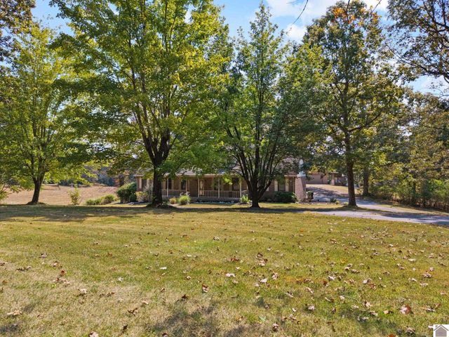 477 KY 1271, Kuttawa, KY 42055