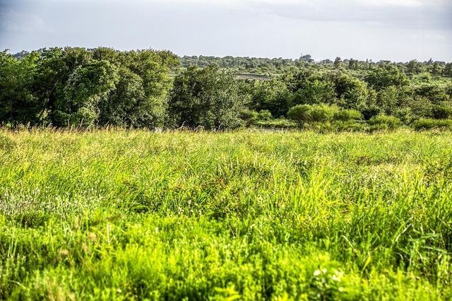Lot 9 Hargrove Lane, Washington, TX 77880