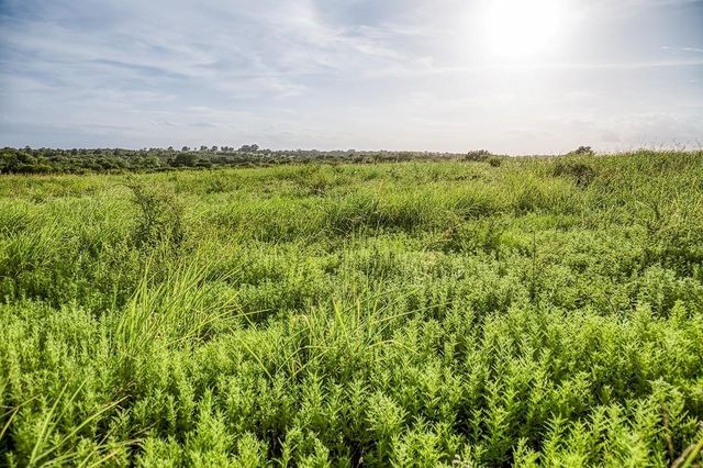 Lot 9 Hargrove Lane, Washington, TX 77880