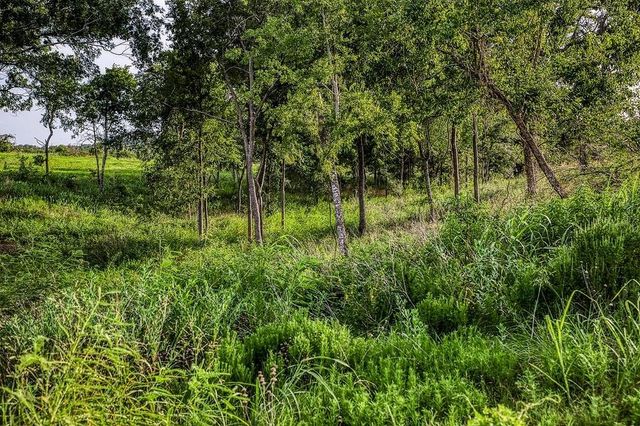 Lot 9 Hargrove Lane, Washington, TX 77880