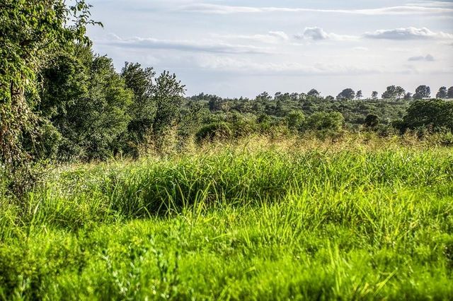 Lot 9 Hargrove Lane, Washington, TX 77880