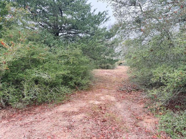 TBD Wannabe Road, Bryan, TX 77808