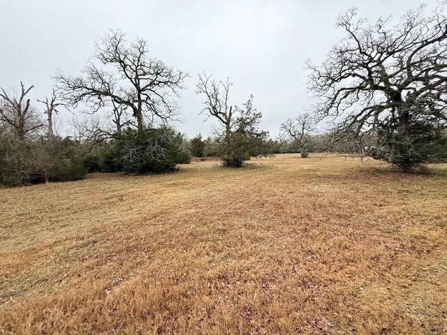 TBD Wannabe Road, Bryan, TX 77808