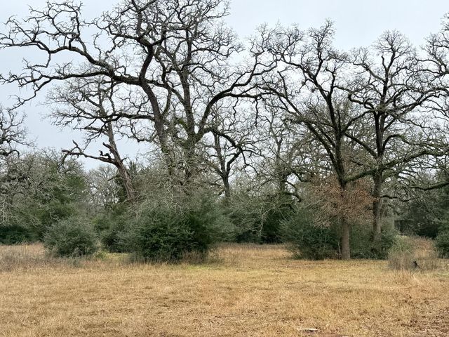 TBD Wannabe Road, Bryan, TX 77808