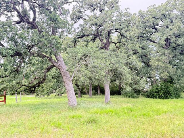 TBD Wannabe Road, Bryan, TX 77808