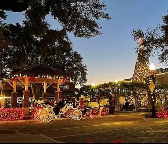 250 N WALKER STREET, Oakland, FL 34760