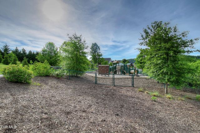 1417 Lemongrass Drive, Jonesborough, TN 37659