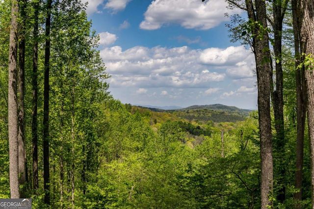 431 Little Bushy Head Road, Blue Ridge, GA 30513