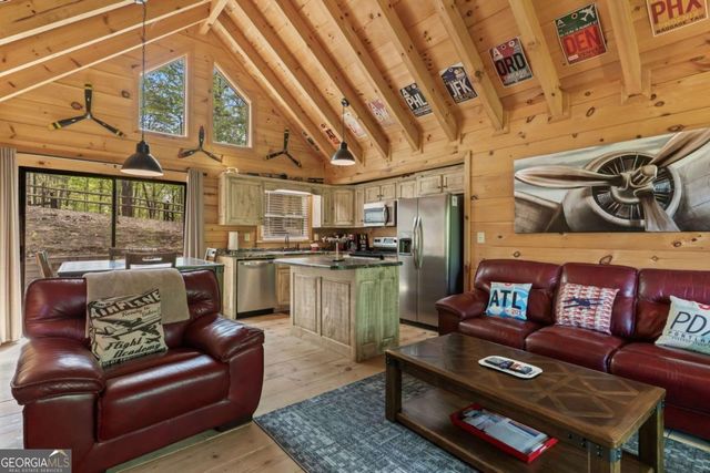 431 Little Bushy Head Road, Blue Ridge, GA 30513