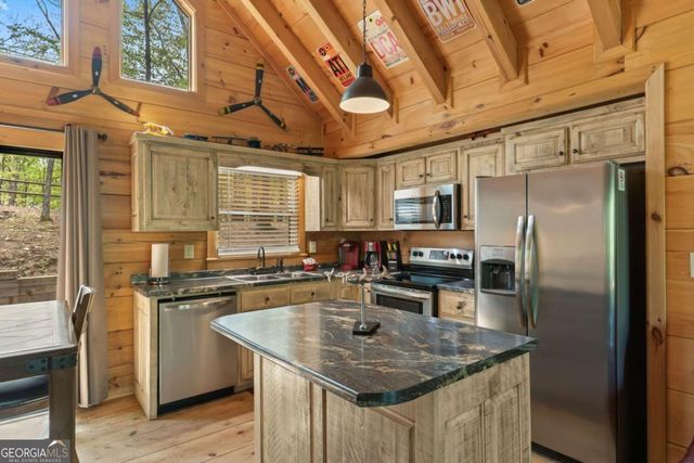 431 Little Bushy Head Road, Blue Ridge, GA 30513