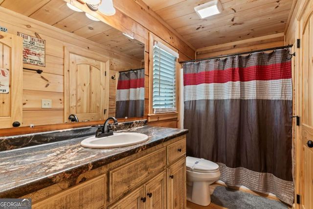 431 Little Bushy Head Road, Blue Ridge, GA 30513