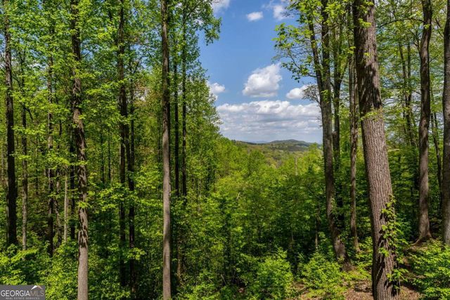 431 Little Bushy Head Road, Blue Ridge, GA 30513