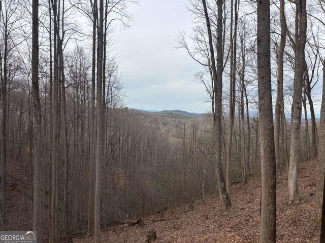 431 Little Bushy Head Road, Blue Ridge, GA 30513