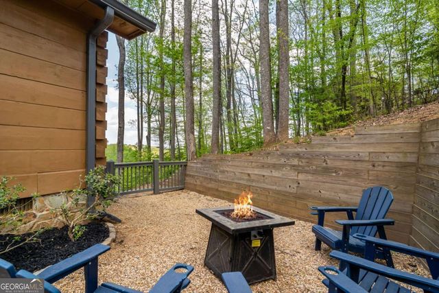 431 Little Bushy Head Road, Blue Ridge, GA 30513