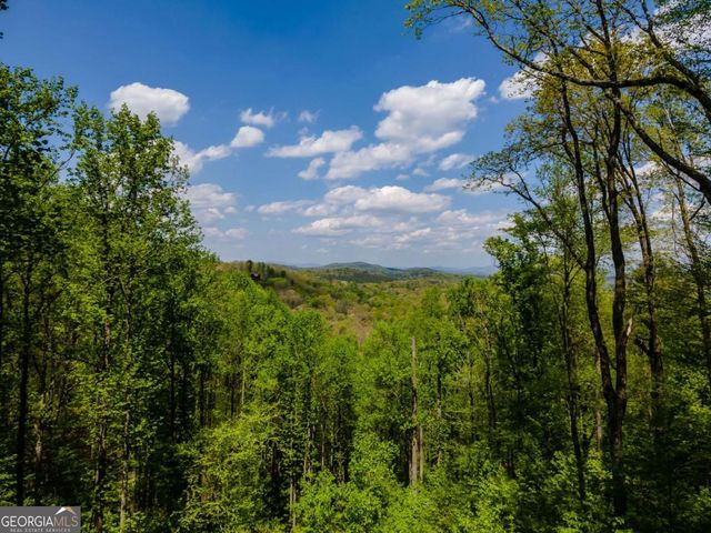 431 Little Bushy Head Road, Blue Ridge, GA 30513