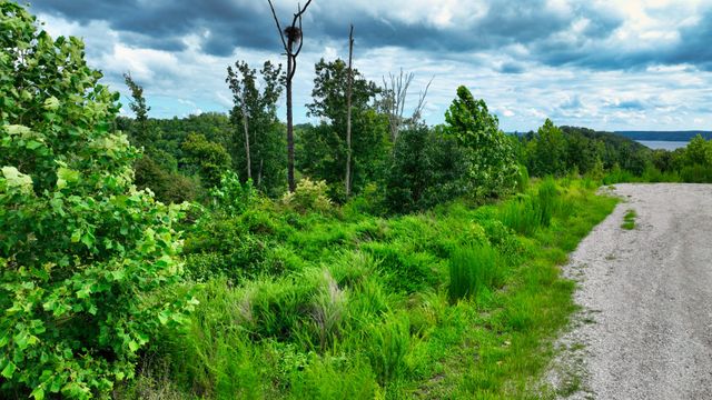 58 Ridge Top Rd, Stewart, TN 37175