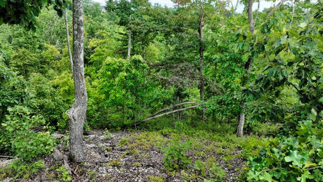 58 Ridge Top Rd, Stewart, TN 37175