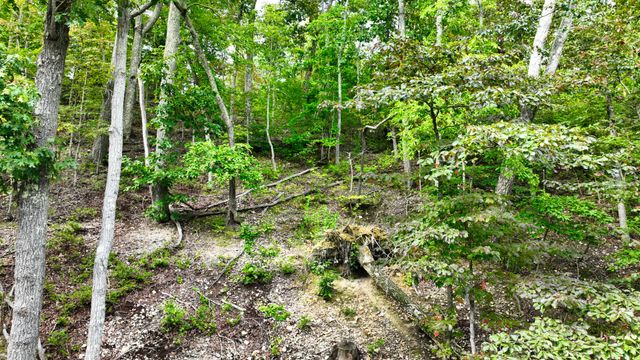 58 Ridge Top Rd, Stewart, TN 37175