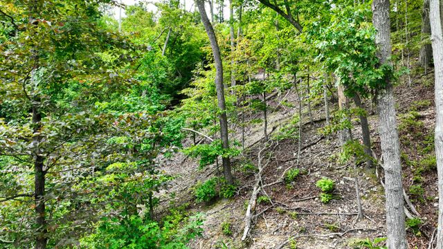 58 Ridge Top Rd, Stewart, TN 37175