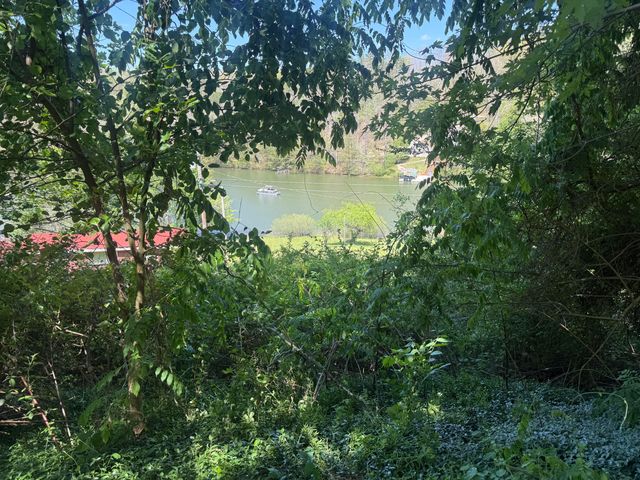 713 Left Fork Fishermans Cove Road, London, KY 40741