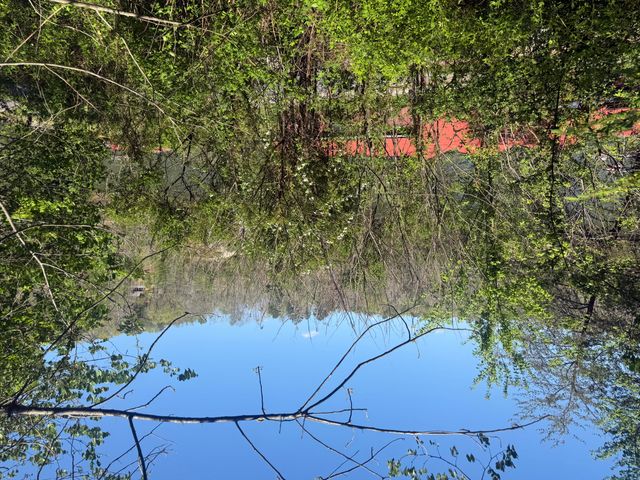 713 Left Fork Fishermans Cove Road, London, KY 40741