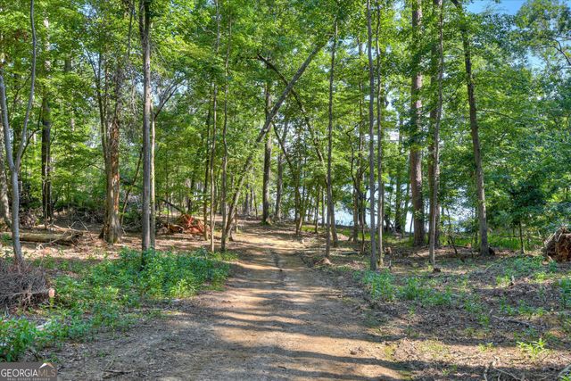 1199 Pawnee Drive, Lincolnton, GA 30817