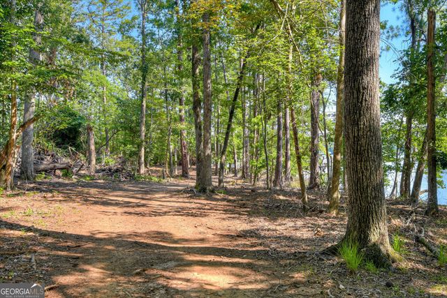 1199 Pawnee Drive, Lincolnton, GA 30817