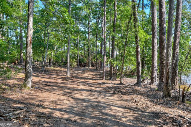 1199 Pawnee Drive, Lincolnton, GA 30817