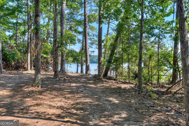 1199 Pawnee Drive, Lincolnton, GA 30817