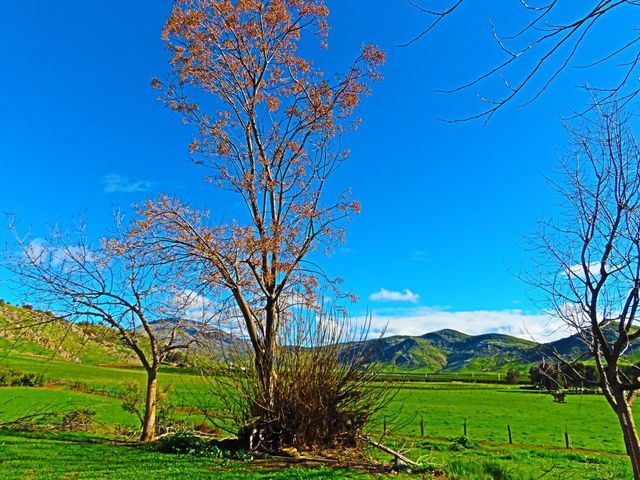 3363 S Anchor Avenue, Orange Cove, CA 93646