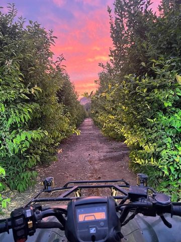 3363 S Anchor Avenue, Orange Cove, CA 93646