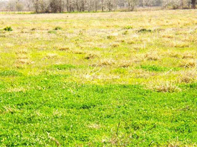 TBD County Road 169, Garwood, TX 77442