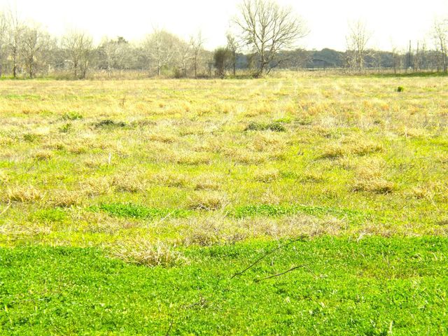 TBD County Road 169, Garwood, TX 77442