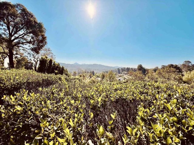 13807 Lake Poway Road Road, Poway, CA 92064