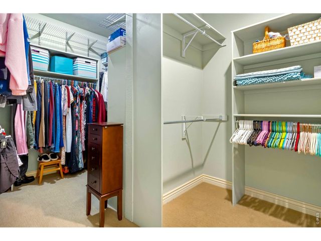 6053 Woodcliffe Dr, Windsor, CO 80550