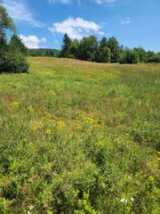 0 Route 115 # 3, Carroll, NH 03595