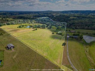 37.55 Acres Alabama Highway 179, Boaz, AL 35957