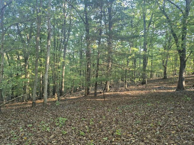 404 Darrell Lane, Hurt, VA 24563