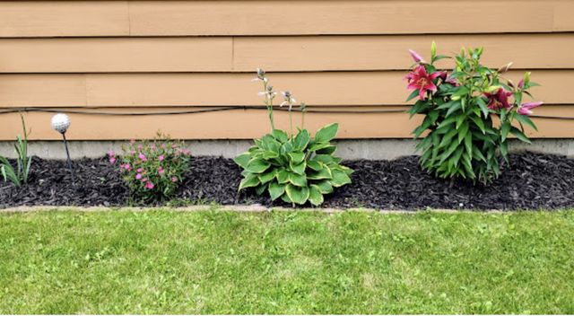 718 Stearns Avenue, Paynesville, MN 56362