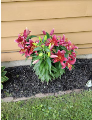 718 Stearns Avenue, Paynesville, MN 56362