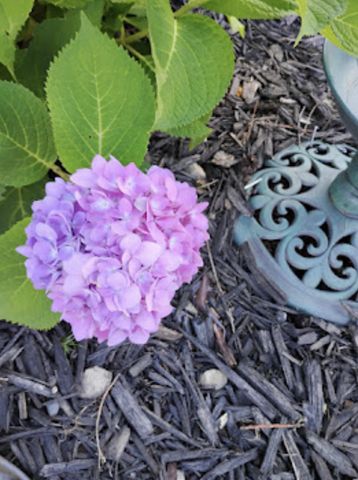 718 Stearns Avenue, Paynesville, MN 56362