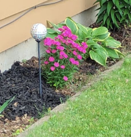 718 Stearns Avenue, Paynesville, MN 56362