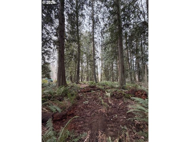 Meserve Rd, Rainier, OR 97048