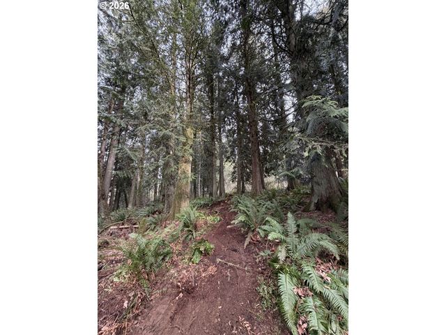 Meserve Rd, Rainier, OR 97048
