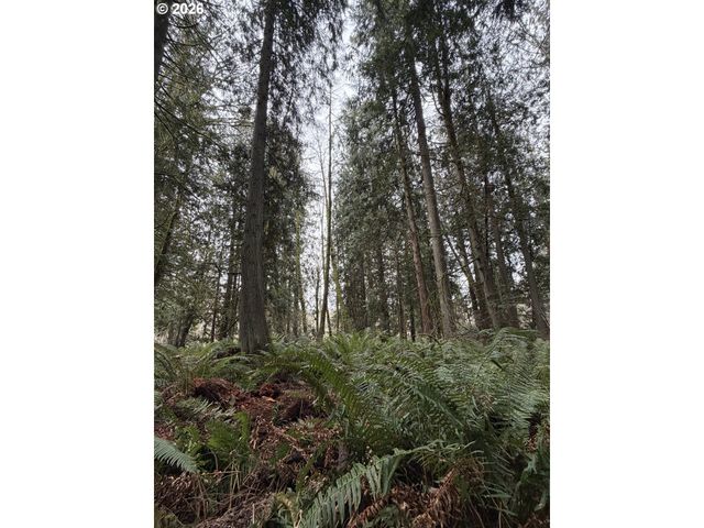 Meserve Rd, Rainier, OR 97048