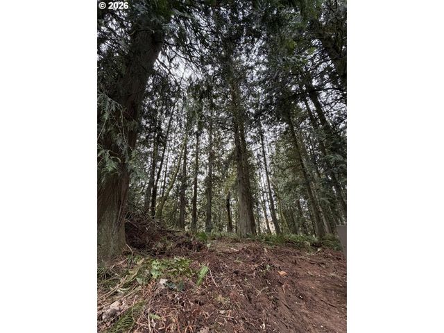 Meserve Rd, Rainier, OR 97048