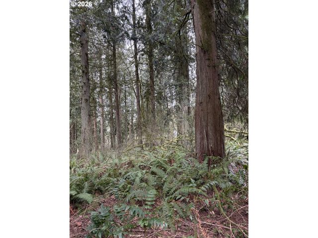 Meserve Rd, Rainier, OR 97048